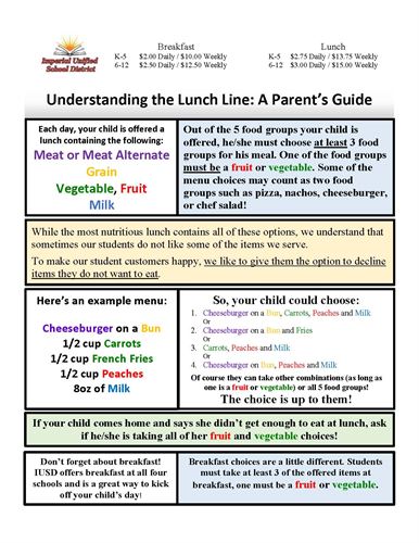Jpg of PDF Understanding Lunch Line. Click jpg to open PDf.